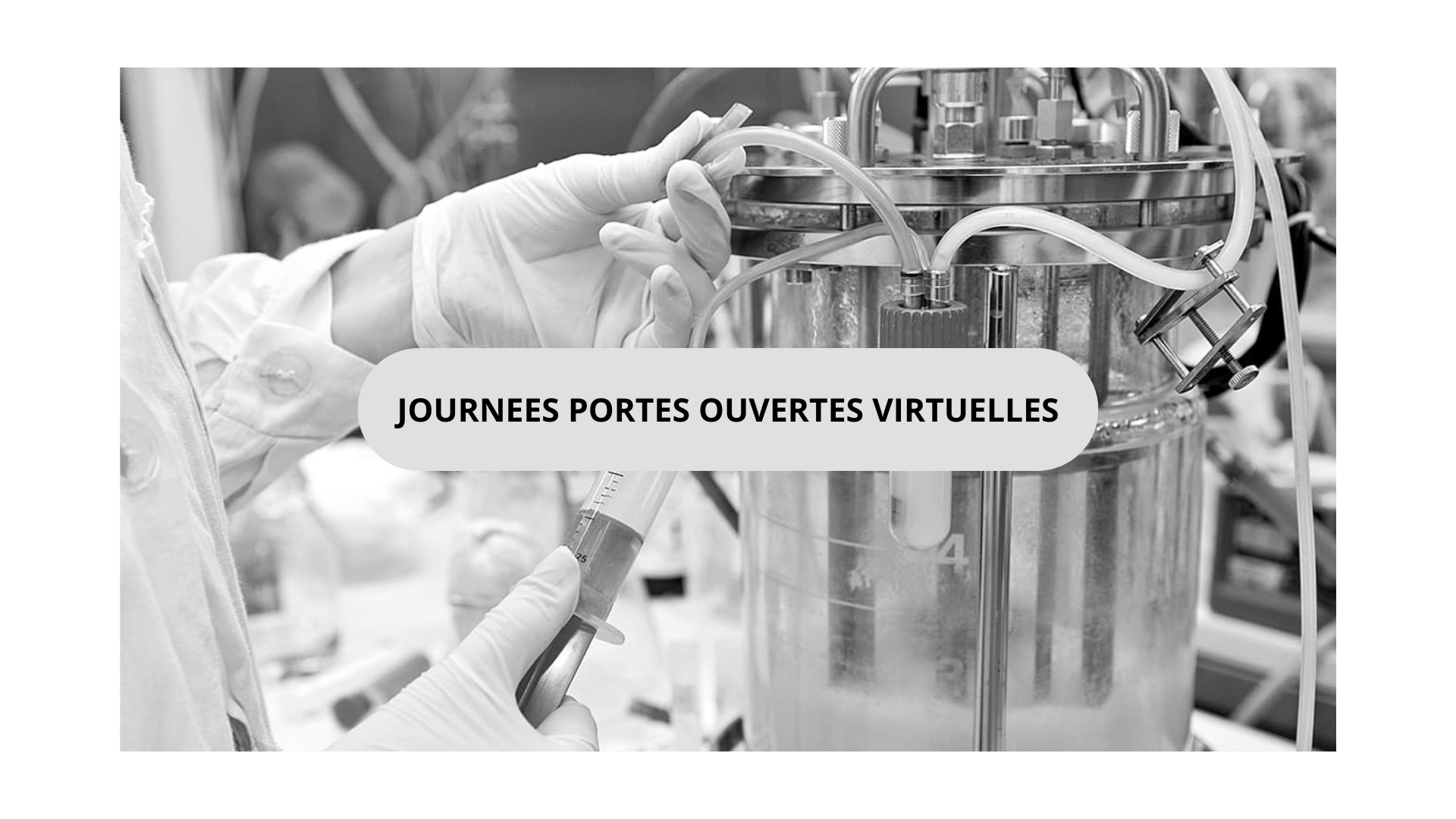 JOURNEES PORTES OUVERTES VIRTUELLES 